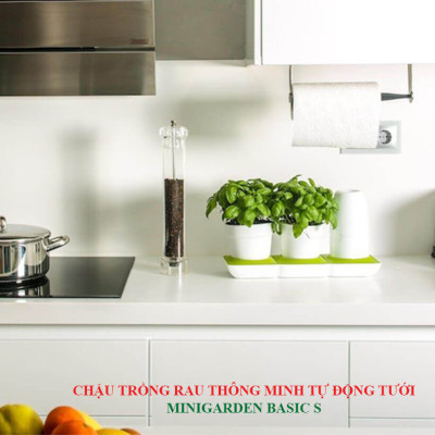 Chậu KIT Trồng Rau Tự Động Tưới Và Tự Dưỡng tại nhà Basic M (Size lớn) nhập khẩu Bồ Đào Nha dành cho người bận rộn