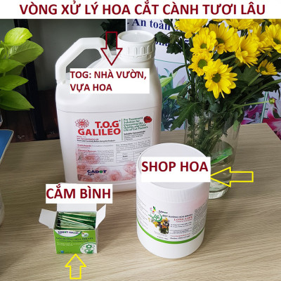 Bột Dưỡng Hoa Hồng Lâu Tàn (Set 10 hộp 1 hộp 10 gói tiết kiệm) giúp hoa luôn tươi mới, cánh hoa hồng cứng cáp gấp 2 lần và trong 14 ngày không thối nước hay cắt tỉa gốc hoa (hiệu Longlife nhập khẩu Israel)