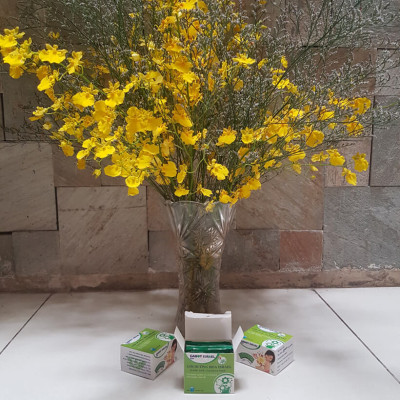 Dung Dịch Cắm Hoa Lan Vũ Nữ Lâu Tàn dạng bột của Israel (Combo 100 gói) giúp hoa lan nở đến nụ cuối cùng và hạn chế đen gốc hoa