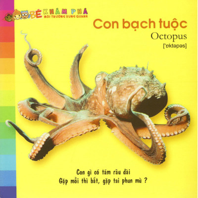 Bé Khám Phá Môi Trường Xung Quanh - Động Vật Sống Dưới Nước _ML