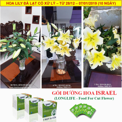 Bộ 5 hộp Loại 1KG Chế phẩm xử lý hoa Longlife của Israel - Bảo quản hoa cắm bình tươi lâu và 14 ngày không thối nước