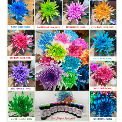 Nước Nhuộm Hoa Tươi Màu Hồng (Set 2 Chai) theo công nghệ Israel Color Sodium For Fresh Flowers giúp nhuộm đổi màu hoa cắt cành thành màu hồng đậm Pink