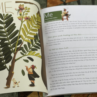 (Minh hoạ màu) CÂY NHÀ LÁ VƯỜN - Khám phá thế giới cây trái việt nam đa dạng phong phú – Thanh Soledas - Nxb Kim Đồng 