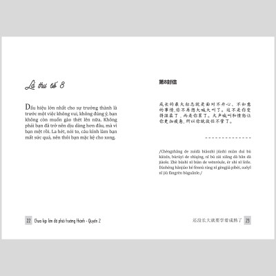 Combo 2 cuốn sách song ngữ Việt - Trung Gửi Cậu Một Cái Ôm Vì Đã Không Bỏ Cuộc + Chưa kịp lớn đã phải trưởng thành 2