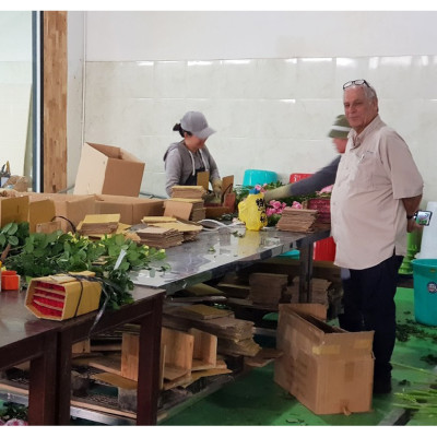 NƯỚC CẮM HOA HỒNG LÂU TÀN (1 LÍT TOG) nhập khẩu ISAREL dành cho Nhà Vườn Trồng Hoa Grower bảo quản hoa