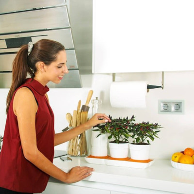 Chậu Để Bàn Tự Tưới và Tự bón phân Basic S , nhập khẩu Minigarden dành cho người yêu cây xanh nhưng không có thời gian chăm sóc cây (Giải pháp trồng cây TỰ DƯỠNG bền vững) (1 bộ gồm 2 chậu S, 1 khay hứng nước, 1 bình chứa nước và phân)