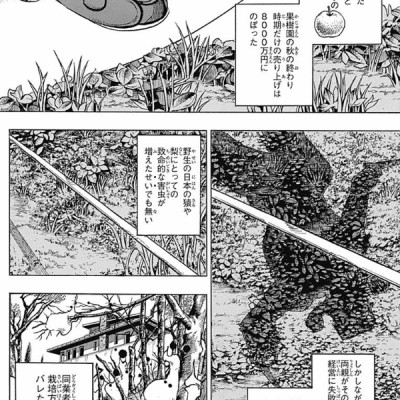 ジョジョリオン 19 (ジャンプコミックス) - JOJORION 19