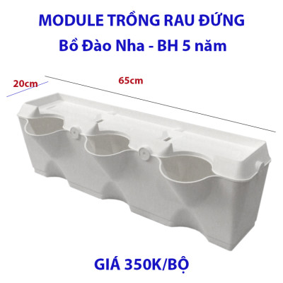 CHẬU MODULE TRỒNG RAU BAN CÔNG NHẬP KHẨU BỒ ĐÀO NHA (1 BỘ gồm 1 Module + Nắp đậy + 6 nút khóa)