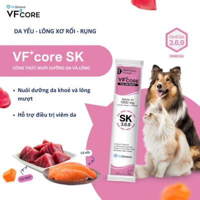 Súp thưởng chức năng VF Core SK dưỡng lông và da cho chó mèo gói 12g