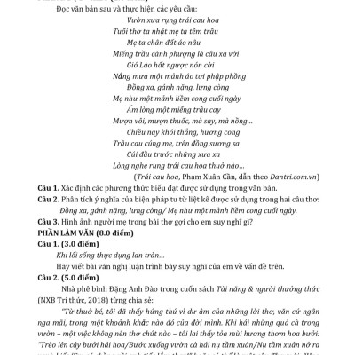 Combo sách Bộ Đề Ôn Luyện Thi Vào Lớp 10 THPT Chuyên Môn Toán + Ngữ Văn