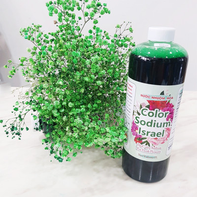 10 chai Nhuộm Hoa tươi dạng nước (Chai 1L x 10 Màu) Công Nghệ Israel giúp hoa nhuộm đổi màu theo ý muốn nhuộm trên 250 cành hoa x 1 chai