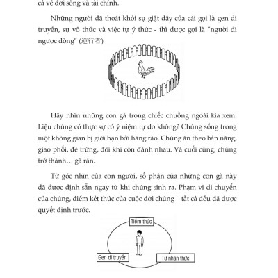 Sách - The Reverser - Người Đi Ngược Dòng