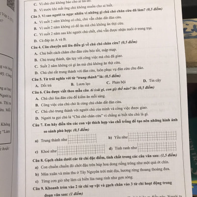 Đề kiểm tra Tiếng Việt lớp 2 học kì 1