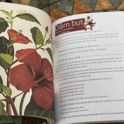 (Minh hoạ màu) CÂY NHÀ LÁ VƯỜN - Khám phá thế giới cây trái việt nam đa dạng phong phú – Thanh Soledas - Nxb Kim Đồng 