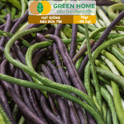 Hạt Giống Đậu Đũa Tím, Greenhome, Gói 10GR~50 hạt, Dễ Trồng Quanh Năm, Nảy Mầm Cao, T38