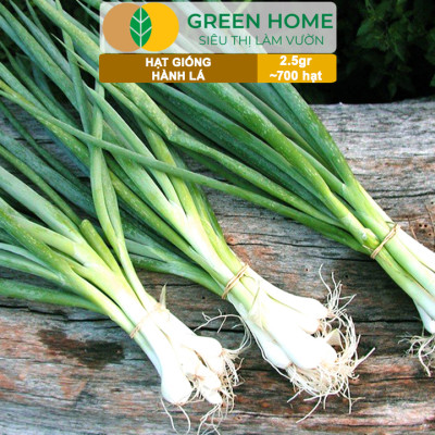 Hạt Giống Hành Lá Greenhome, Gói 2.5gr~700 hạt, Dễ Trồng Quanh Năm, Nảy Mầm Cao, Thu Hoạch Nhanh, Năng Suất Cao G01