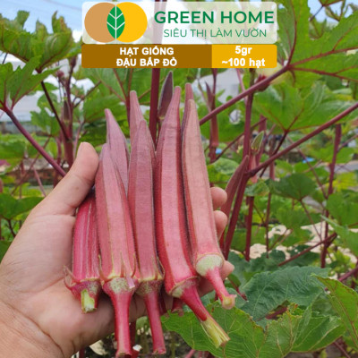 Hạt Giống Đậu Bắp Đỏ Greenhome, Gói 5gr~100 hạt, Dễ Trồng Quanh Năm, Nảy Mầm Cao, Thu Hoạch Nhanh T34