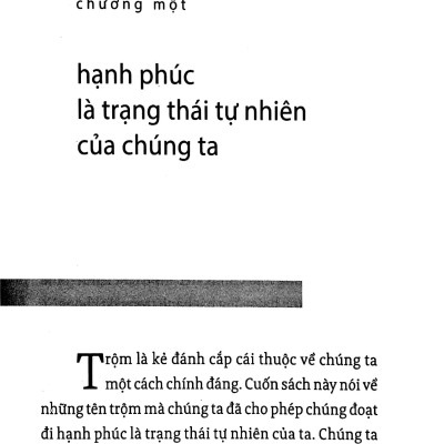 Năm Kẻ Trộm Hạnh Phúc - The Five Thieves Of Happiness