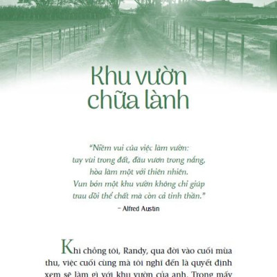 Chicken Soup For The Soul - Nắng Ấm Sau Mưa