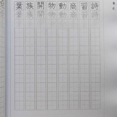 SÁCH TIẾNG NHẬT KANJI, ĐẶT CÂU TỪ VỰNG, LUYỆN VIẾT KANJI