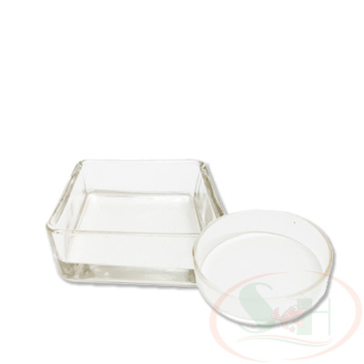 Chén thủy tinh cho tép ăn hạn chế thức ăn dư thừa bể cá tép thủy sinh