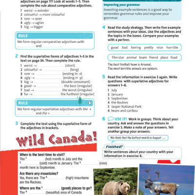 English Plus: Level 1: Student