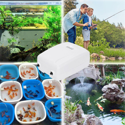 Máy sủi oxy tích điện Jebo 9950 2 vòi cao cấp, trữ điện 16- 24H, siêu bền, tiết kiệm điện.BH uy tín