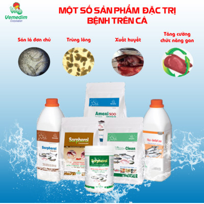 Vemedim Anti-fungi cá đặc trị nấm thủy mi, nhiễm khuẩn mang, nấm trong môi trường ao nuôi, chai 100ml