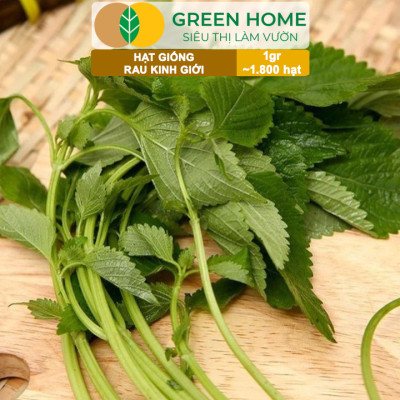 Hạt Giống Rau Kinh Giới, Bao 1gr~1800 hạt, Dễ Trồng, Nảy Mầm Cao, Thu Hoạch Nhanh, Năng Suất Cao G12