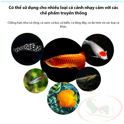 Xử lý bệnh Biozym Bacterial Control xử lý nấm vi khuẩn virus bể thủy sinh cá tép cảnh