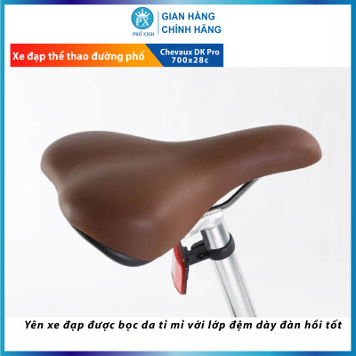 Xe đạp thể thao đường phố Chevaux DK Pro