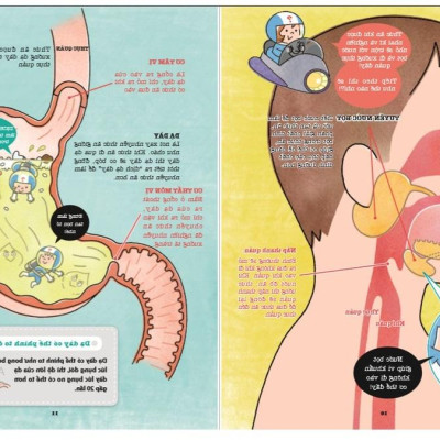 Khám Phá Bí Ẩn Cơ Thể Người (Tái Bản 2022)