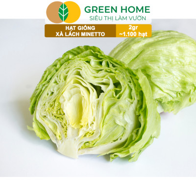 Hạt Giống Xà Lách MINETTO GreenHome, Gói 2gr1100 hạt, Dễ Trồng Quanh Năm, Năng Suất Cao R19