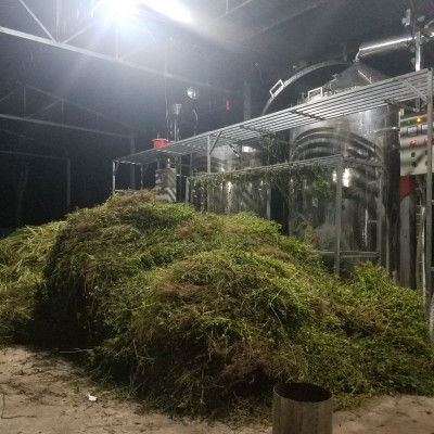 Tinh dầu Khuynh Diệp (bạch đàn) 50ml nguyên chất từ thiên nhiên - Mộc Mây