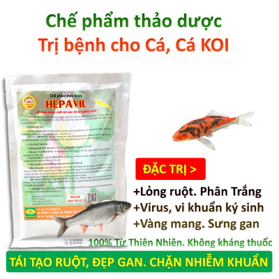 VƯỜN SINH THÁI - Thảo dược hepavil đặc trị phân trắng, rỗng ruột, vàng mang sưng gan trên Tôm Cá Ếch Lươn - Hiệu quả ngay sau 5-7 ngày - 100% Thiên Nhiên