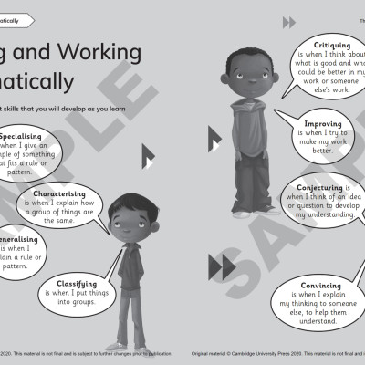 Cambridge Primary Mathematics Workbook 2 With Digital Access (1 Year) 2nd Edition