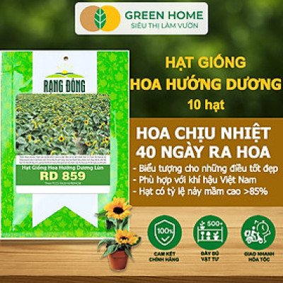 Hạt Giống Hoa Hướng Dương Greenhome, Gói 10 hạt, Sai Hoa, Màu Rực Rỡ, Dễ Trồng, Nảy Mầm Cao H03