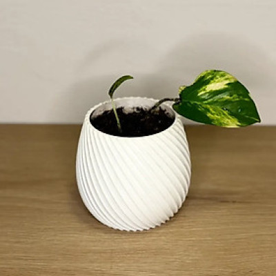 Lọ hoa nhựa xoắn ốc đa dạng kích thước - 10cm x 10cm x 8.5cm