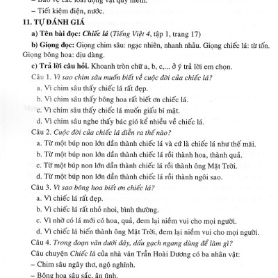 Bồi Dưỡng Tiếng Việt Lớp 4 (Bám Sát SGK Cánh Diều) _HA