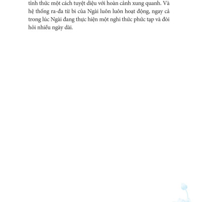 Trí Tuệ Của Sự Từ Bi - The Wisdom Of Compassion