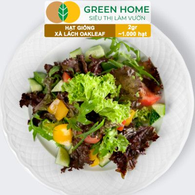 Hạt Giống Xà Lách Oakleaf, Gói 5gr~ 1000 hạt, Dễ Trồng Quanh Năm, Thu Hoạch Nhanh, Năng Suất Cao R22