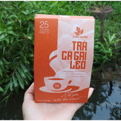 Combo 07 Hộp Trà Cà gai leo Thái Hưng 25 túi lọc x 05g (125g) - Mát gan, giải độc, giải rượu, giảm mụn nhọt