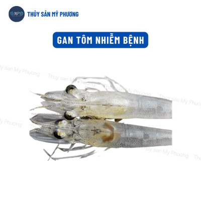 Ks gan đường ruột lò xo phân trắng đứt khúc gan vàng sưng mờ Sultrim xuất huyết sình bụng tôm thẻ cá lươn ếch ốc baba