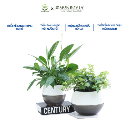 Chậu tự tưới để bàn I0 Monrovia, dáng chậu tròn, chất liệu nhựa PP, màu sắc sang trọng