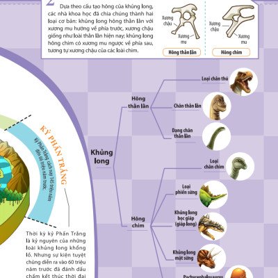 Kiến Thức Về Khủng Long - Khủng Long Cũng Đi Nhà Trẻ Sao? Sinh Sản Và Nuôi Dưỡng Khủng Long