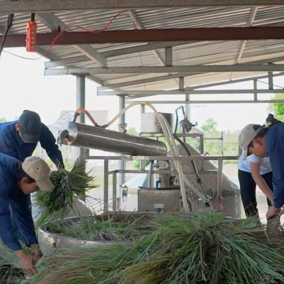 Tinh dầu sả chanh 50ml Mộc Mây - tinh dầu nguyên chất 100% từ thiên nhiên - chất lượng và mùi hương vượt trội