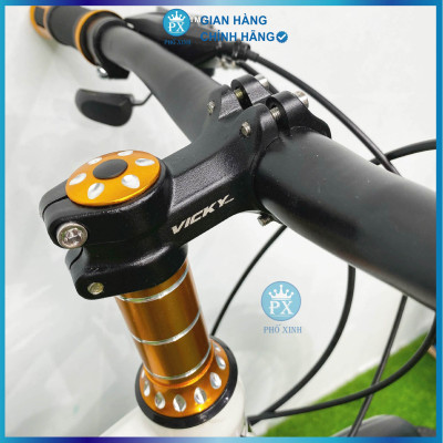 Xe đạp trẻ em Vicky VF22 bánh 22inch