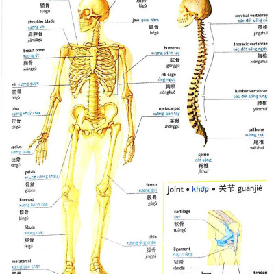 Visual English Vietnamese Chinese Trillingual Dictinonary