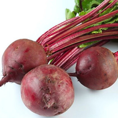 Hạt giống củ dền đỏ giống khỏe nảy mầm tốt VTS139