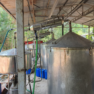 Tinh dầu Chanh tươi (Chanh Thái) 50ml Mộc Mây - tinh dầu thiên nhiên nguyên chất 100% - chất lượng và mùi hương vượt trội - Có kiểm định